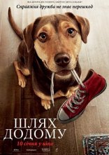 постер Шлях додому онлайн в HD