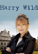 постер Гарі Вайлд онлайн в HD