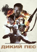 постер Дикий пес онлайн в HD