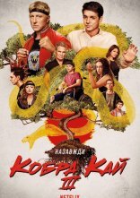 постер Кобра Кай онлайн в HD