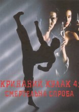 постер Кривавий кулак 4: Смертельна спроба онлайн в HD