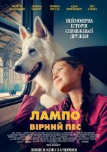 постер Лампо: Вірний пес онлайн в HD
