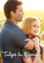 постер Тюльпан для Роуз онлайн в HD