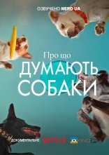 постер Про що думають собаки онлайн в HD