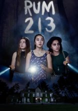 постер Кімната 213 онлайн в HD