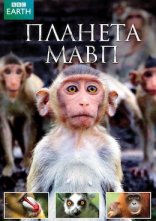 постер Планета мавп онлайн в HD