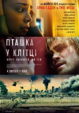 постер Пташка у клітці онлайн в HD