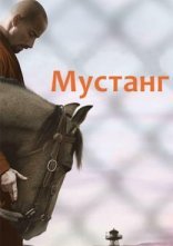 постер Мустанг онлайн в HD