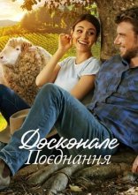 постер Досконале поєднання онлайн в HD