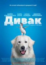 постер Дивак онлайн в HD