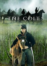 постер Лоша / Жеребець онлайн в HD