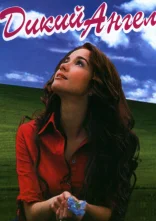 постер Дикий ангел / Дикий янгол онлайн в HD