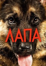 постер Лапа онлайн в HD