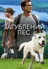 постер Загублений пес онлайн в HD