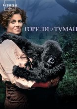 постер Горили в тумані / Горили в тумані: Історія Дайан Фоссі онлайн в HD