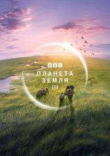 постер Планета Земля 3 онлайн в HD