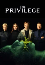постер Привілей онлайн в HD