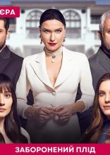 постер Заборонений плід онлайн в HD