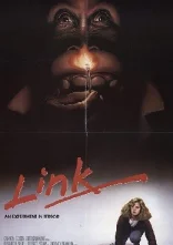 постер Лінк онлайн в HD