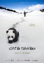 постер Слід панди онлайн в HD