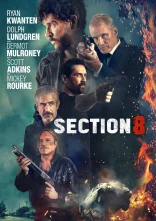 постер Секція 8 / Восьмий відділ онлайн в HD