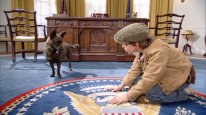 кадри з фільму Перший пес держави
