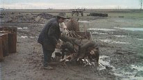 кадри з фільму Скупники пір’я