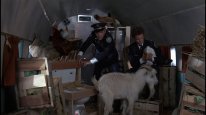 кадри з фільму Поліцейська академія 5: Операція Маямі-біч