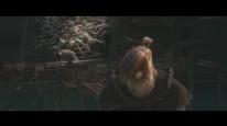 кадри з фільму З гнізда