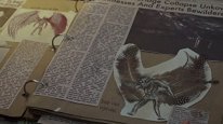 кадри з серіалу Свідок паранормального