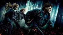 кадри з фільму Гаррі Поттер та Смертельні Реліквії: Частина перша