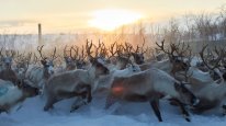 кадри з фільму Крадіжка