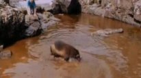 кадри з фільму Бігати на волі