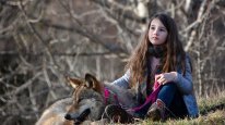кадри з фільму Мій вовк / Таємничий друг Вікторії