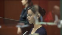 кадри з фільму Дівчина з браслетом