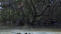 кадри з фільму Хижі води