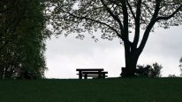 кадри з фільму Бенджамін Фальк і Примарний Кинджал