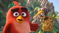 кадри з фільму Angry Birds у кіно