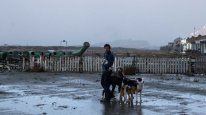 кадри з фільму Догмен