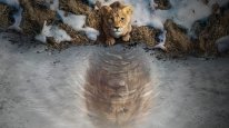 кадри з фільму Муфаса: Король Лев