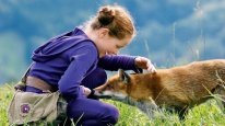 кадри з фільму Лисиця й Дитина