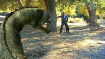 кадри з фільму Шаблезубий / Шаблезуба тварюка