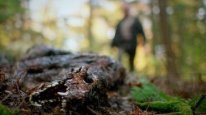 кадри з фільму Природа насильства