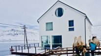 кадри з фільму Арктичні верблюди