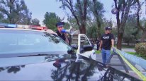кадри з фільму Пограбування