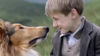 кадри з фільму Лессі