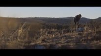кадри з фільму Аутбек