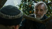 кадри з фільму Мандарини