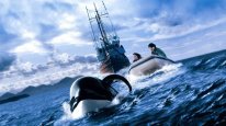 кадри з фільму Звільніть Віллі 3. Порятунок