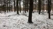 кадри з фільму Битва безсмертних